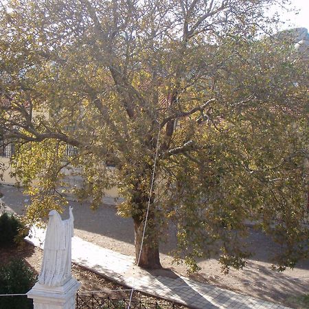 Guesthouse Kazakou ดีมิตซานา ภายนอก รูปภาพ